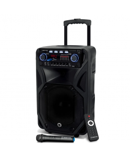 Muusikakeskus Manta SPK5021PRO