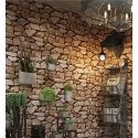 ETA Pieve ETA015190000