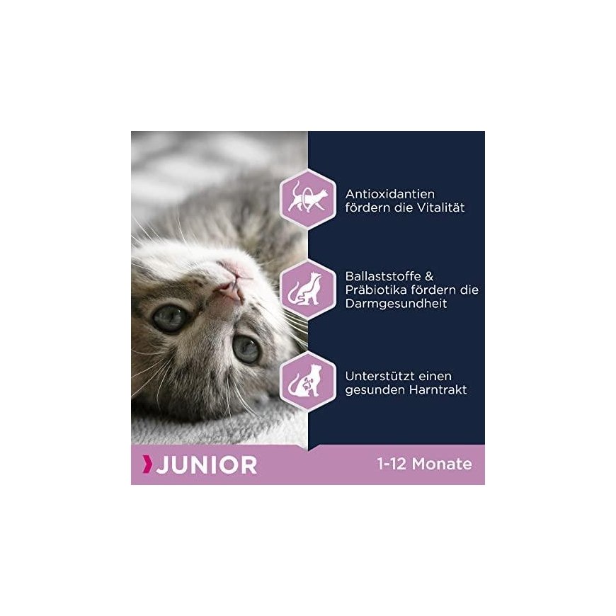 Eukanuba Dog Dry Breed SpecificYorkshire Chicken2kg – 3