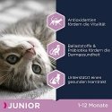 EUKANUBA Kitten vištiena - Dry Cat Food - 2kg