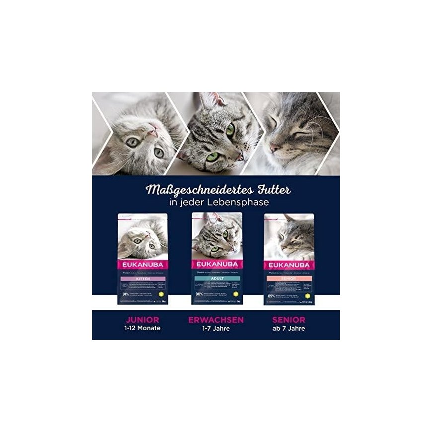 EUKANUBA Kitten chicken - Dry Cat Food - 2kg – 5
