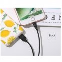Usams US-SJ245 Ice Cream Durable-Soft Universal Lighting to USB Data & Fast 2A Charger Cable 1m Blac