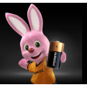 Duracell 2 LR14 C Single-use battery Alkaline Duracell 2 LR14 C Single-use battery Alkaline