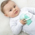 NATTOU Šaldantis kramtukas, žalias NATTOU Šaldantis kramtukas, žalias