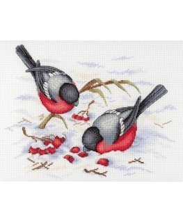 Beldizart Winter berries SNV-639