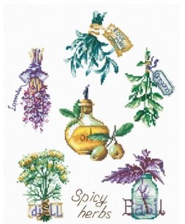 Riolis Embroidery set SANP-46