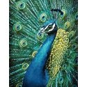 Beldizart Povas 38 х 48 cm WD231 Beldizart Povas 38 х 48 cm WD231