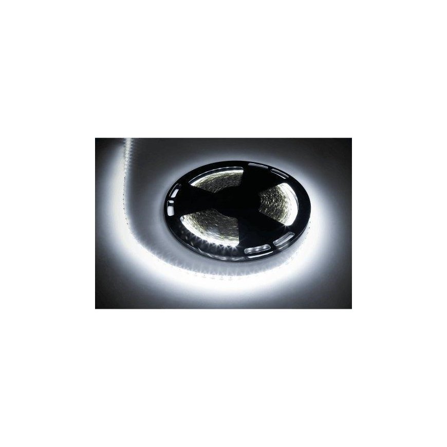 LED laidas 25m Rebel (1500x5050 SMD) šaltai baltas, 12V – 3