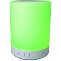 Denver BTL-30 portable speaker