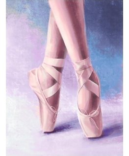 Beldizart Pointe shoes 30*40 cm WD3002