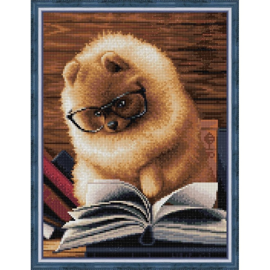 Beldizart Skaitymas Pomeranijos 30x40 cm AZ-1831 – 2