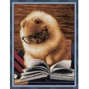 Beldizart Reading Pomeranian 30x40 cm AZ-1831 Beldizart Reading Pomeranian 30x40 cm AZ-1831
