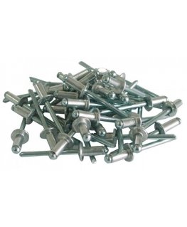 Mega aluminum blind rivets 3.2x10mm 1000 pcs. - 59399