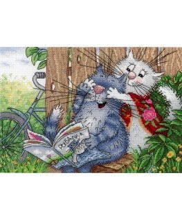 Beldizart Embroidery kit SNV-666