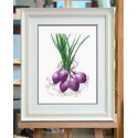 Beldizart Embroidery kit S1476 Beldizart Embroidery kit S1476