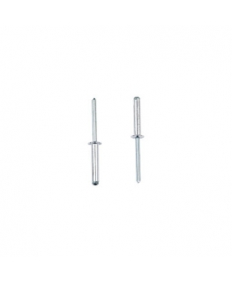 Rivets MASTERFIX 1031 5x6mm, 1000 pcs.
