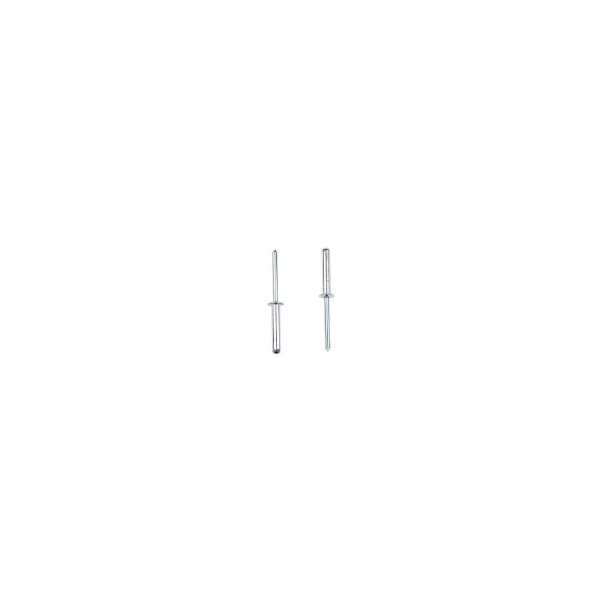 Rivets MASTERFIX 1031 5x6mm, 1000 pcs.