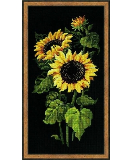 Uab 039039Riolis039039 Sunflower 1056