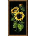 Uab 039039Riolis039039 Sunflower 1056 Uab 039039Riolis039039 Sunflower 1056