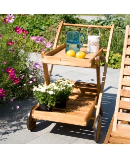 Сервировочный стол FINLAY 84x57xH84cм, акация