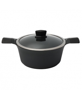 Induction pot with lid Zyle ZY3028PT