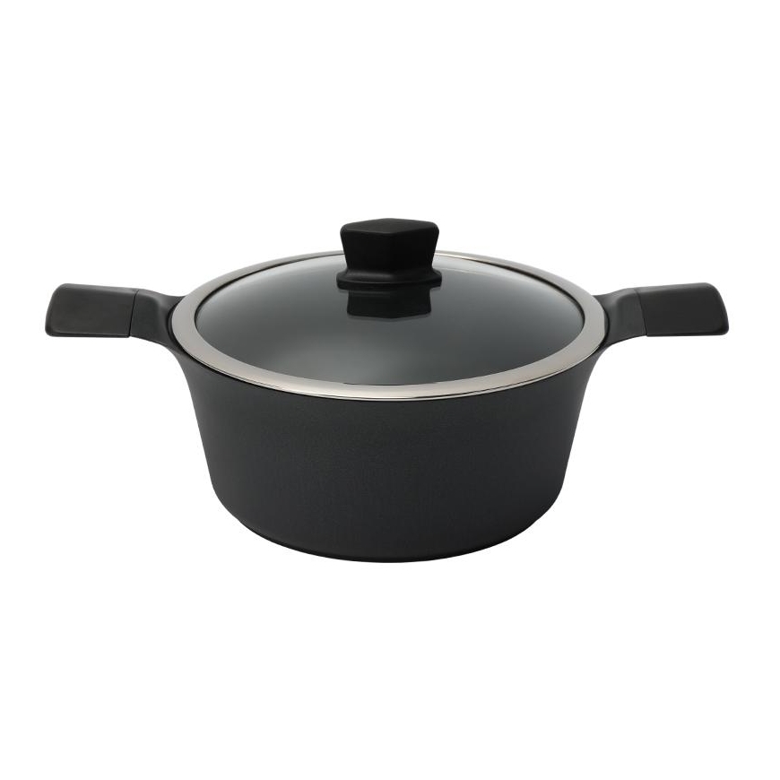 ZYLE Induction pot with lid Zyle