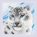 Uab 039039Riolis039039 Snow Leopard SR1886 Uab 039039Riolis039039 Snow Leopard SR1886