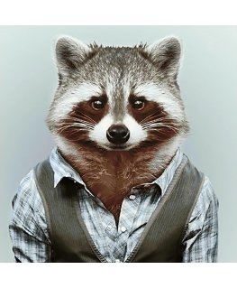 Beldizart SALE (discontinued) Mr Raccoon 38 x 38 cm WD257
