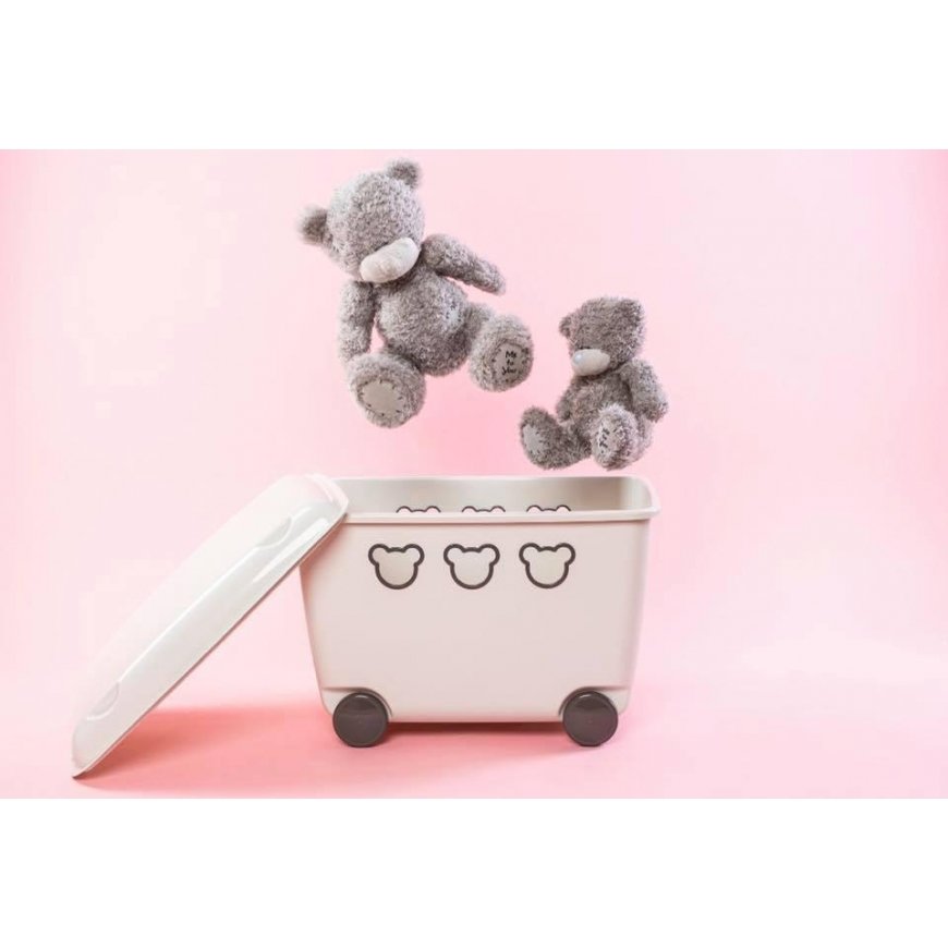 Indelis žaislams 55L BranQ Teddy baltas – 2