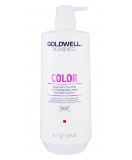 Shampoo for dyed hair Goldwell Dualsenses Brilliance Color Shampoo 1000ml