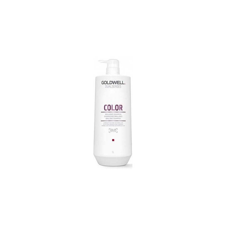 Shampoo for dyed hair Goldwell Dualsenses Brilliance Color Shampoo 1000ml – 2