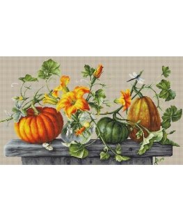 luca S Pumpkin SB2303