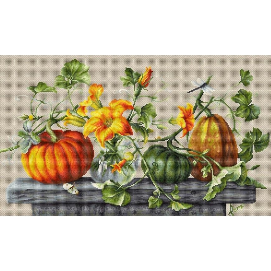 luca S Pumpkin SB2303