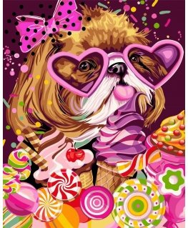 Beldizart Wizardi Painting by Numbers Kit Sweet Tooth 40x50 cm R008
