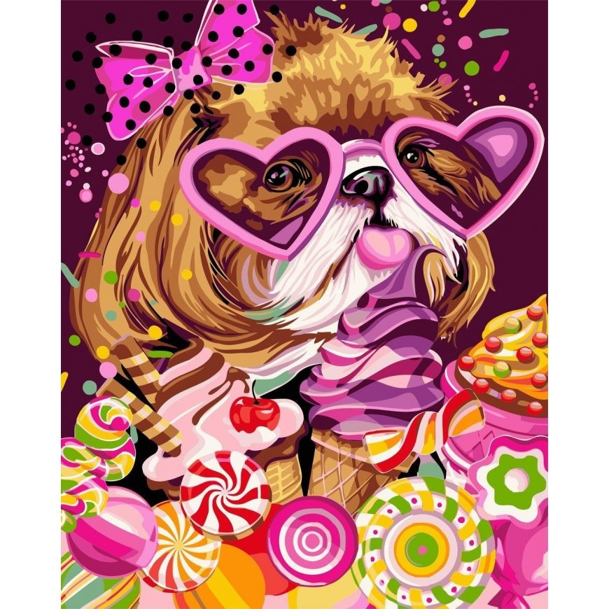 Beldizart Wizardi Painting by Numbers Kit Sweet Tooth 40x50 cm R008