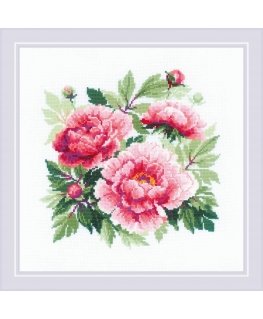 Uab 039039Riolis039039 Tree peony SR1854