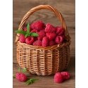 Beldizart Raspberry Basket 27 x 38 cm WD252 Beldizart Raspberry Basket 27 x 38 cm WD252