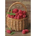 Beldizart Raspberry Basket 27 x 38 cm WD252 Beldizart Raspberry Basket 27 x 38 cm WD252