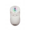 FOURZE GM900 mouse Ambidextrous FOURZE GM900 mouse Ambidextrous