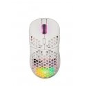 FOURZE GM900 компьютерная мышь Для обеих рук