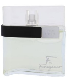 Perfume for men Salvatore Ferragamo F EDT 100ml