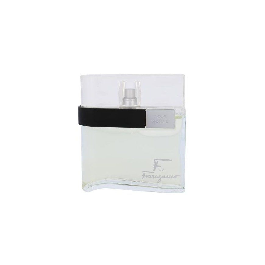 Salvatore Ferragamo Perfume for men Salvatore