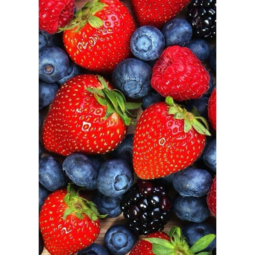 Beldizart Wild berries 20*30 cm WD051