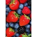Beldizart Laukuogės 20*30 cm WD051 Beldizart Laukuogės 20*30 cm WD051