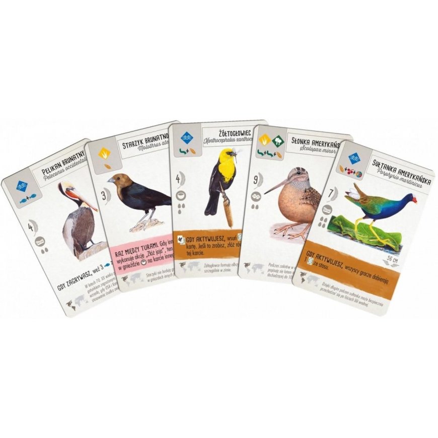 Board game Winged, Polish. – 4