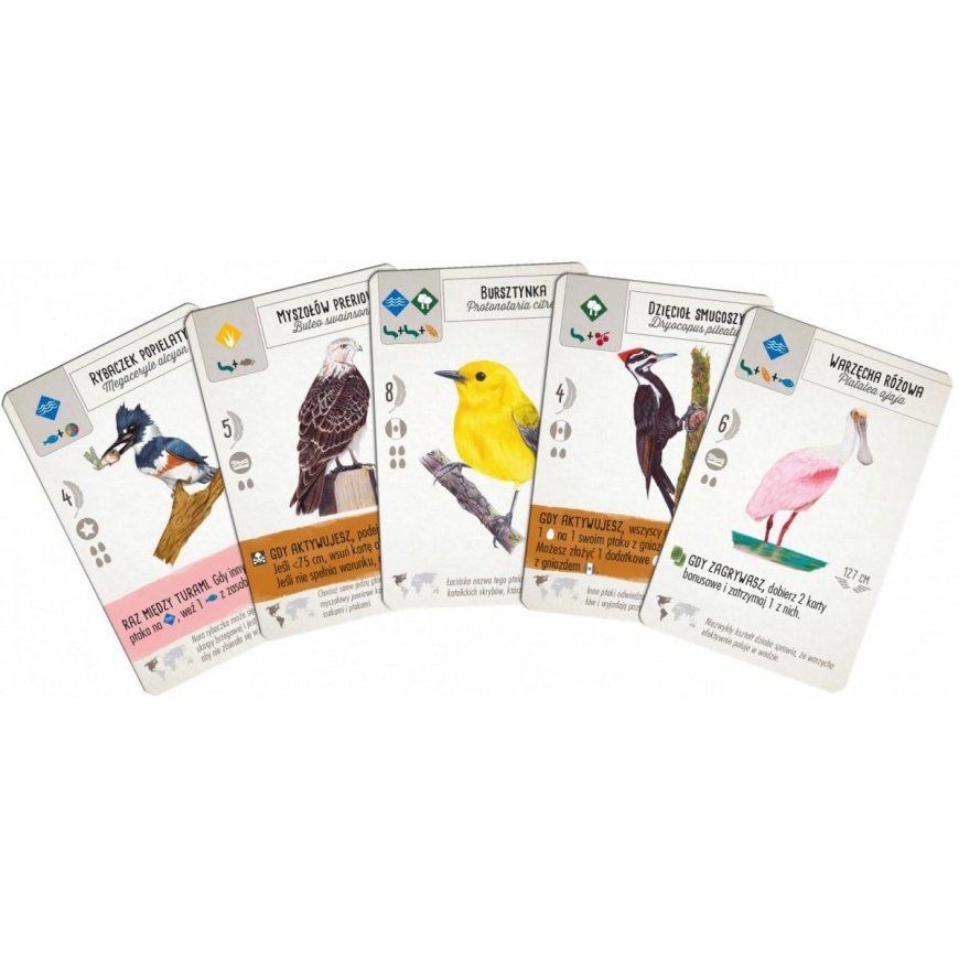 Board game Winged, Polish. – 6