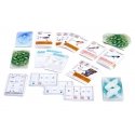 Board game Winged, Polish.