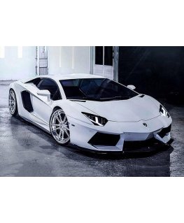 Beldizart Lamborghini 38 x 27 cm WD254