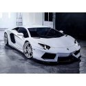 Beldizart Lamborghini 38 x 27 cm WD254