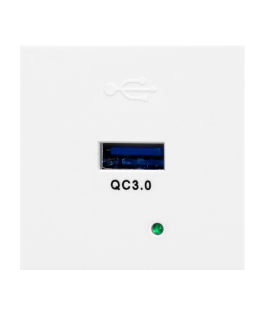 Orno NOEN USBQ, 45x45mm modulinis prievadas su 3A / 5V greito įkrovimo USB įkrovikliu 2A / 9V 1,5A / 12V, balta